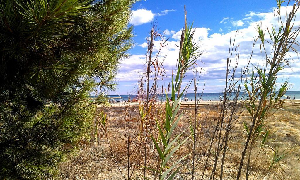 Apcostas - Habitat Playa Romana Lejlighed Alcossebre Eksteriør billede